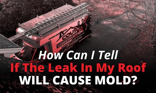 How Can I Tell If The Leak In My Roof Will Cause Mold?