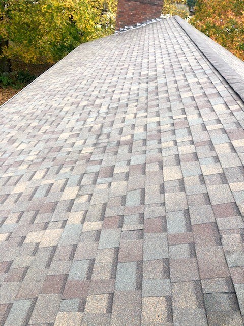 mult colored roof replacement prject our roofers completed