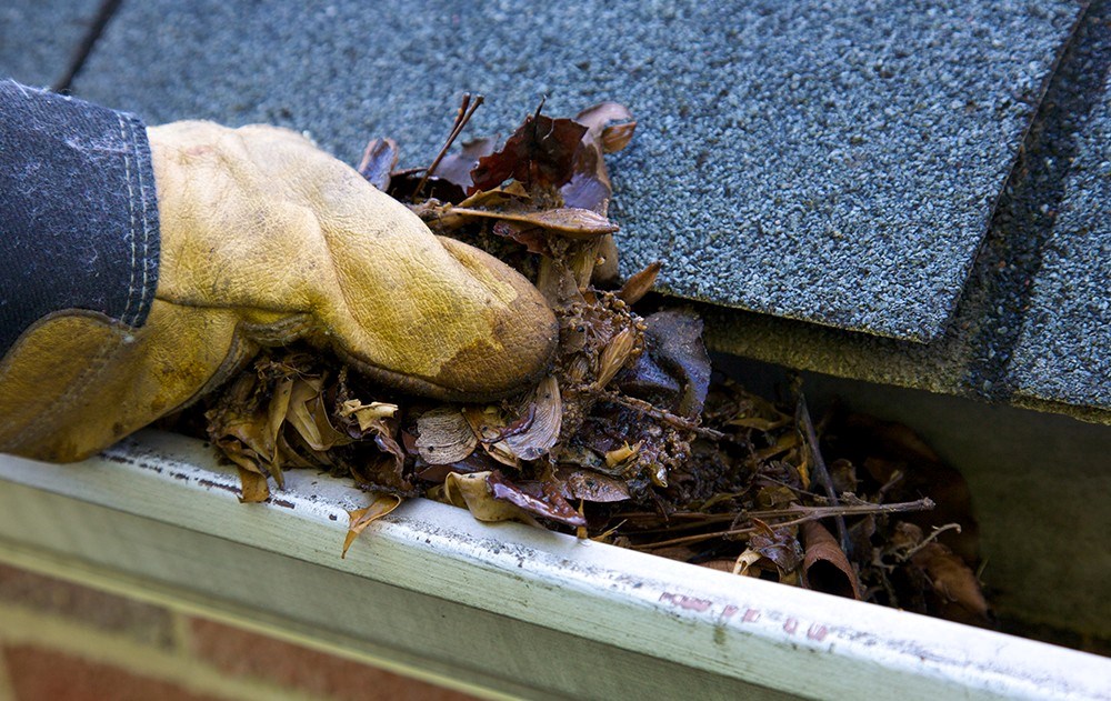 gutter tune up service in massachusetts